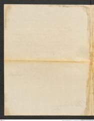 Nachlass Franz Steindachner, Brief von J. D. E. Schmeltz (junior) an Franz Steindachner (17.11.1875), Inv.Nr. 456.06, Seite 2